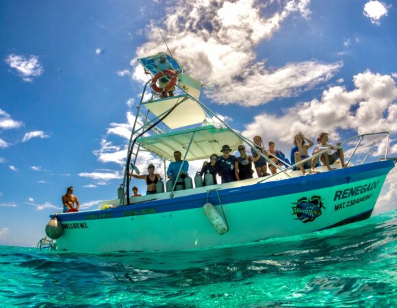 Snorkeling Boat Trip