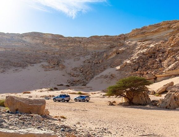 Desert Hiking Experience