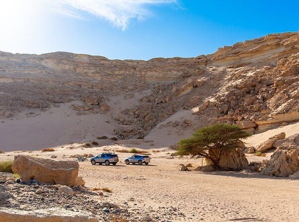 Desert Hiking Experience