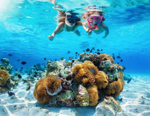 Scuba Diving Experience