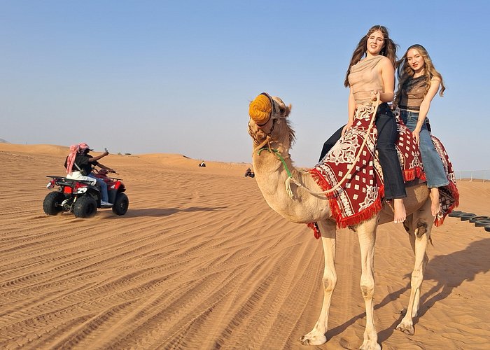 3-Hour Desert Safari by Quad Bike & Camel Ride